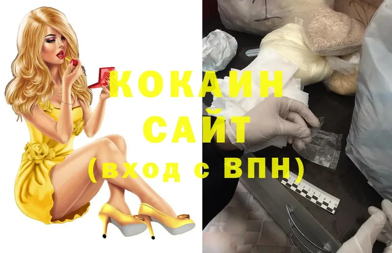 Cocaine FishScale  купить   Никольск 