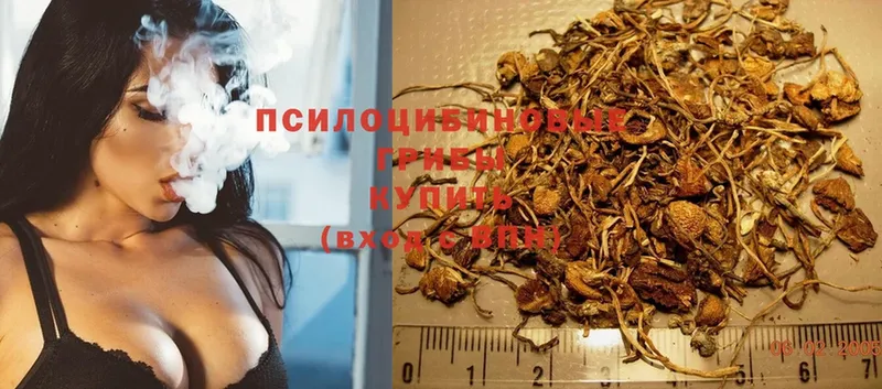 Галлюциногенные грибы MAGIC MUSHROOMS  Никольск 