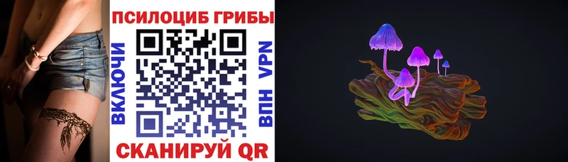 продажа наркотиков  Никольск  Галлюциногенные грибы Cubensis 